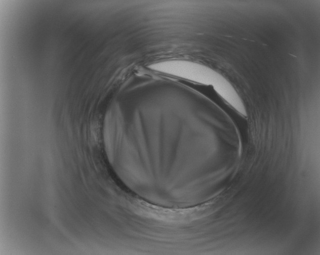 X0000080180035200612302256