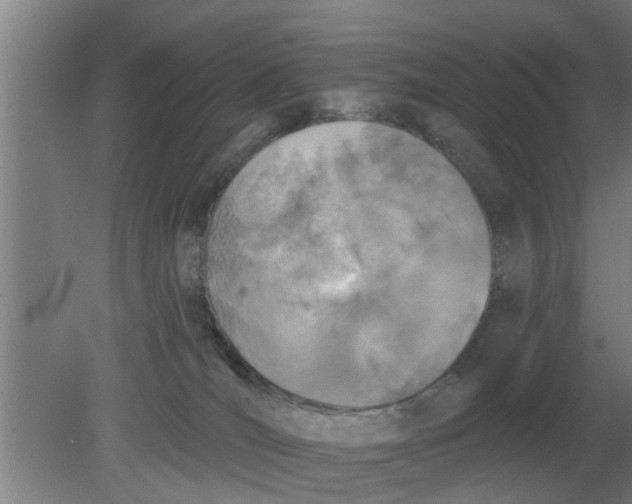 X0000080180036200612302256