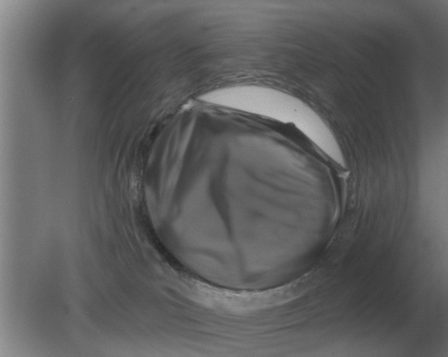 X0000080180039200612302256