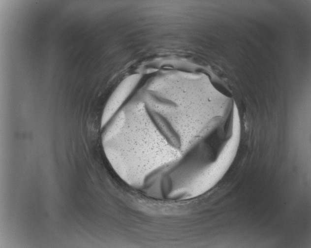 X0000080180040200612302256