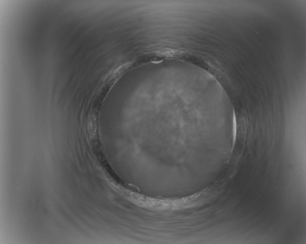 X0000080180043200612302256