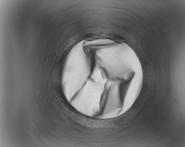 X0000080180044200612302256