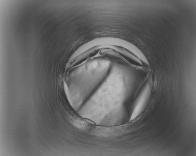 X0000080180045200612302256