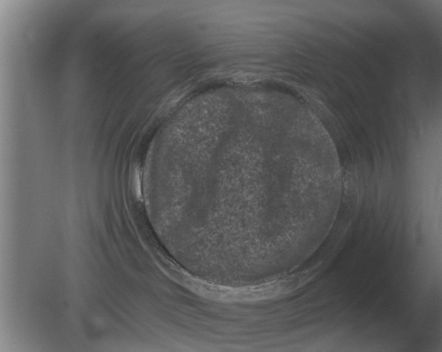 X0000080180046200612302256