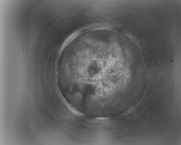 X0000080180053200612302255