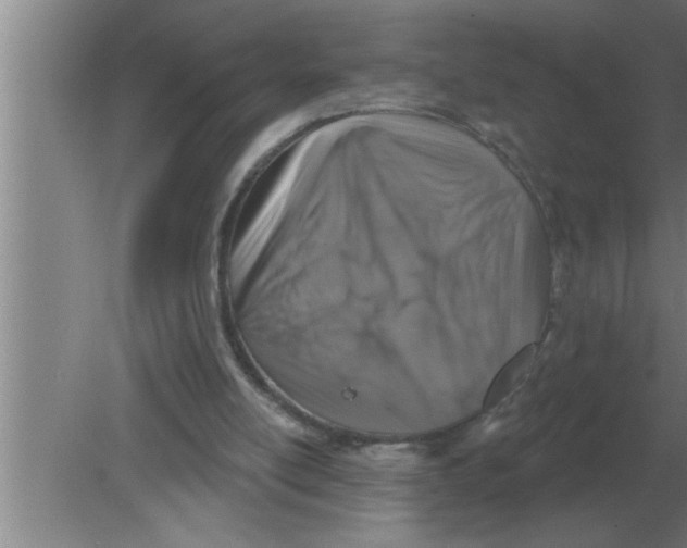 X0000080180054200612302255