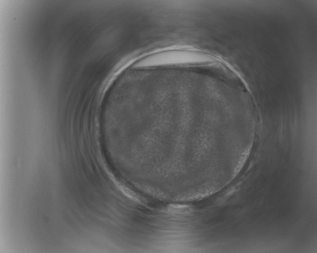 X0000080180055200612302255