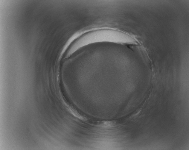 X0000080180056200612302256