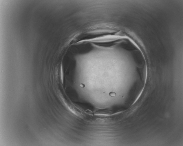 X0000080180057200612302256