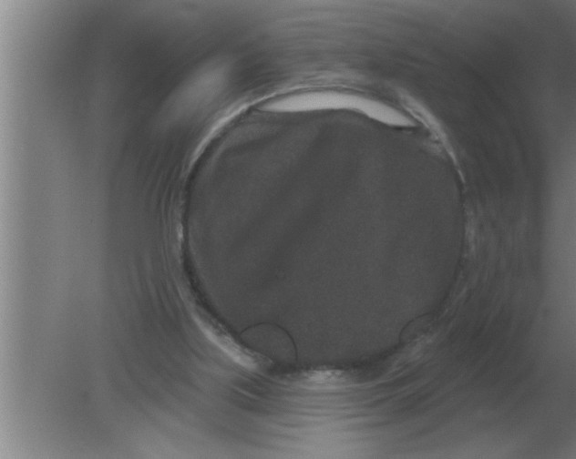 X0000080180059200612302256