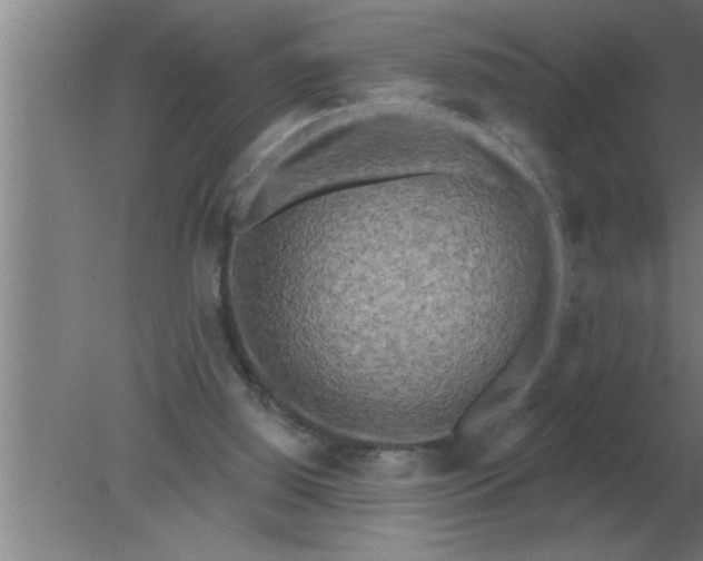 X0000080180060200612302256