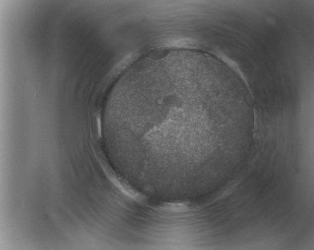 X0000080180061200612302256