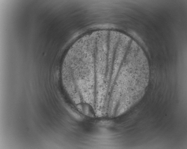 X0000080180063200612302256