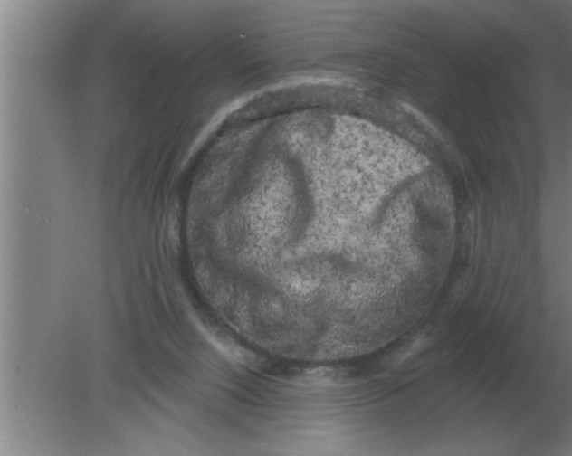 X0000080180064200612302256