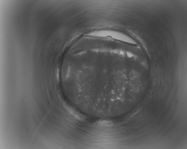 X0000080180067200612302256