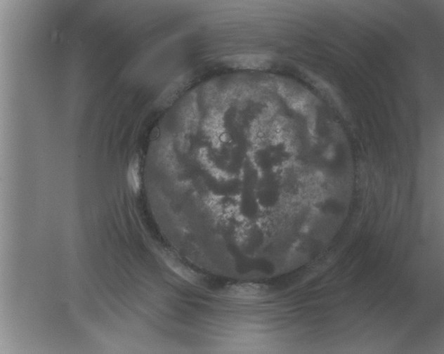 X0000080180069200612302256