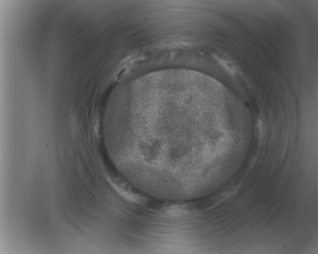 X0000080180072200612302256