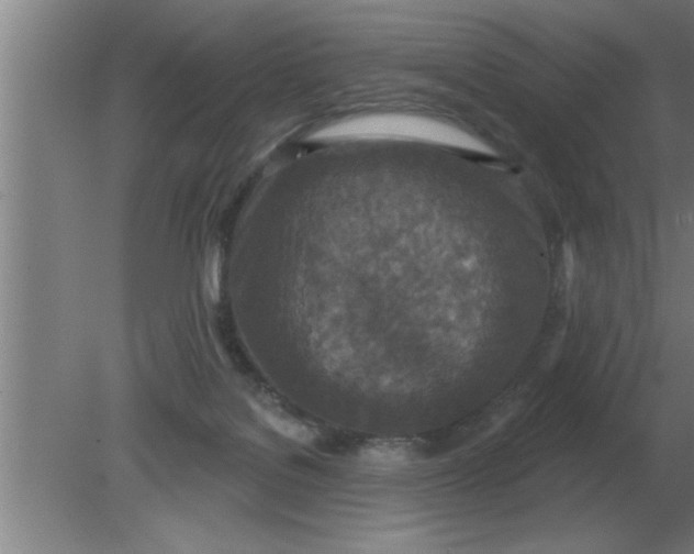 X0000080180076200612302256