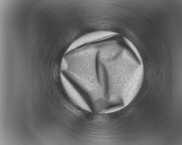 X0000080180077200612302256