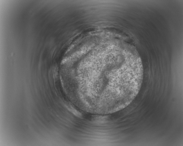 X0000080180081200612302256