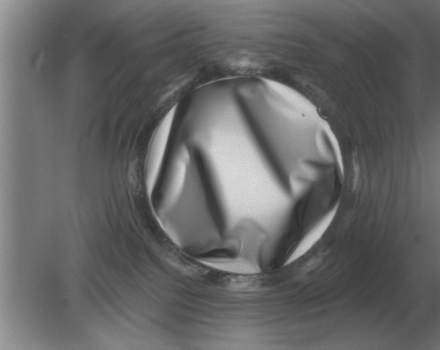 X0000080180088200612302256