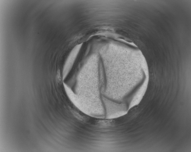 X0000080180089200612302256