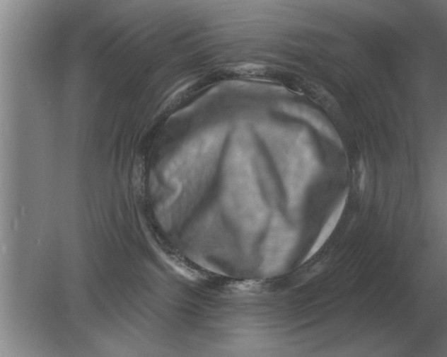 X0000080180092200612302256