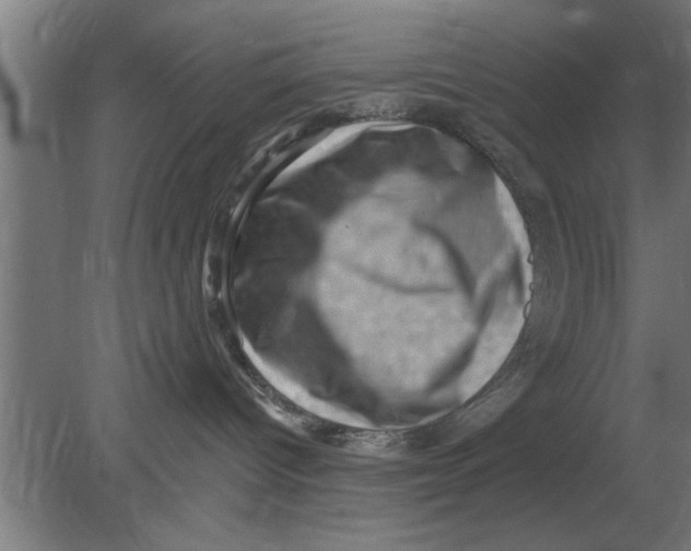 X0000080180096200612302256