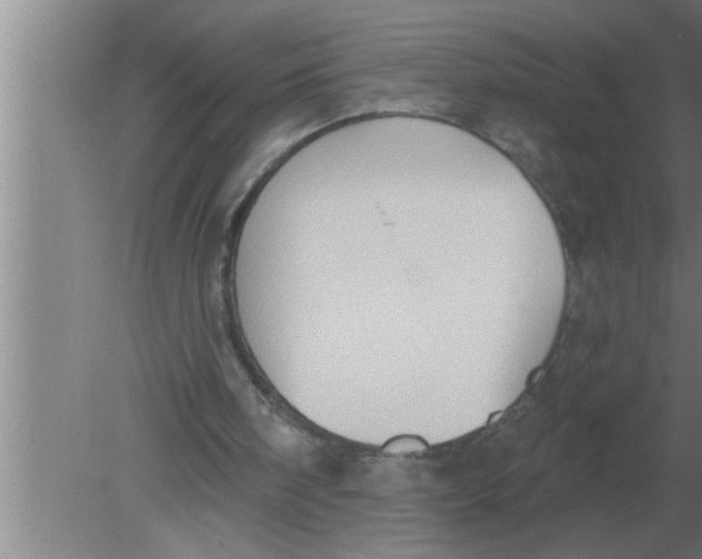 X0000080180098200612302255