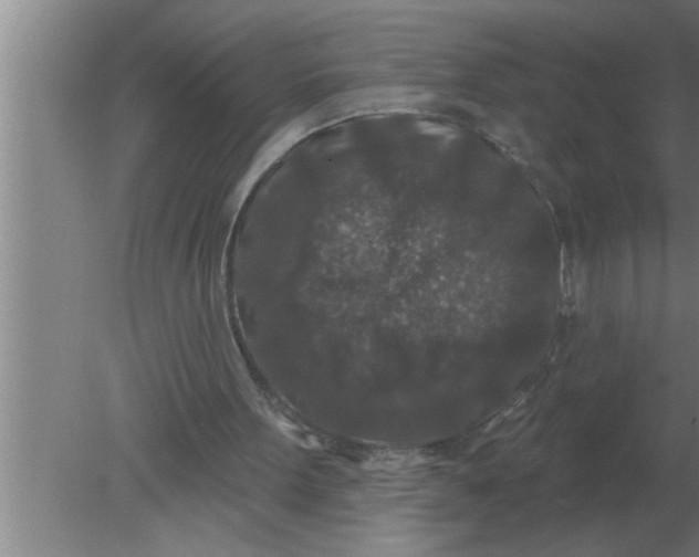 X0000080180099200612302255