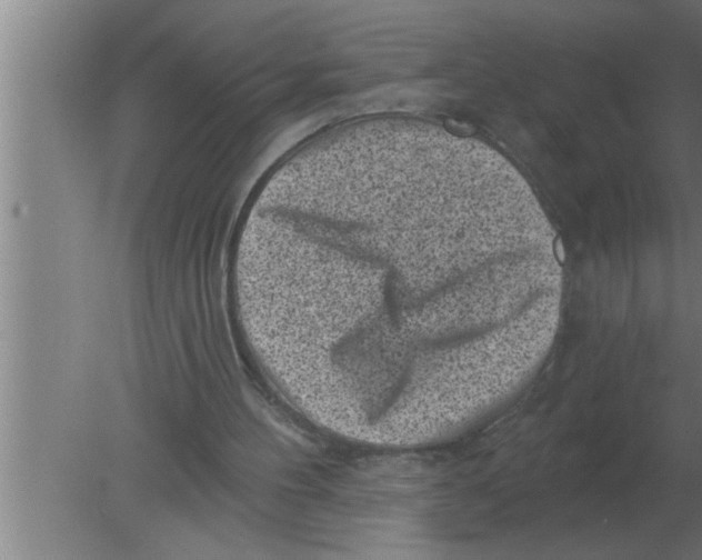 X0000080180100200612302255