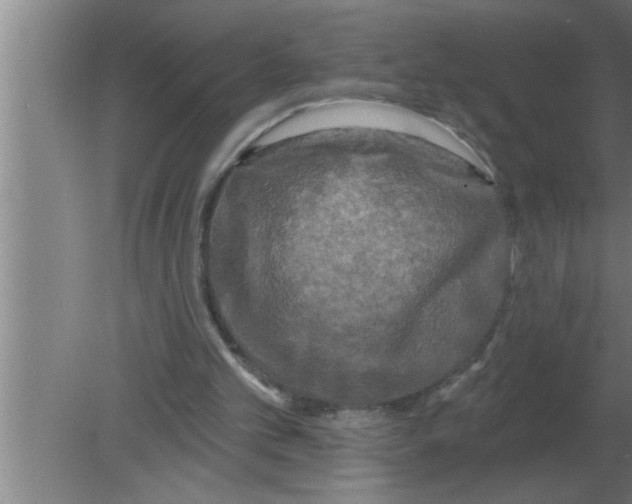 X0000080180101200612302255