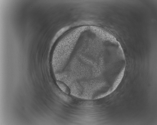 X0000080180104200612302255