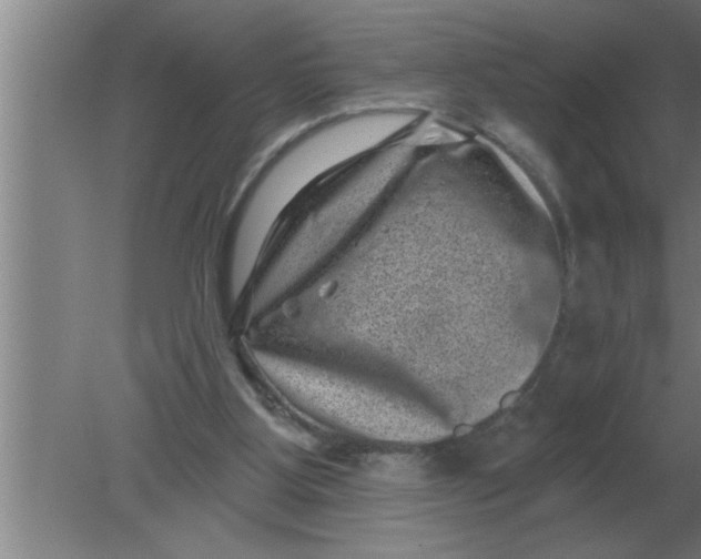 X0000080180107200612302255