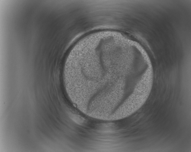 X0000080180108200612302255