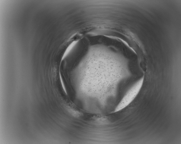 X0000080180113200612302255