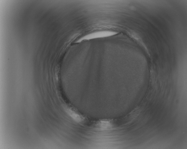 X0000080180114200612302255