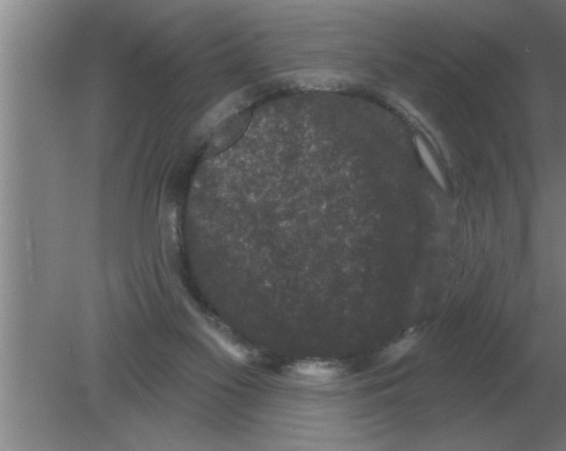 X0000080180117200612302255