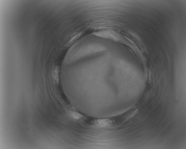 X0000080180121200612302255