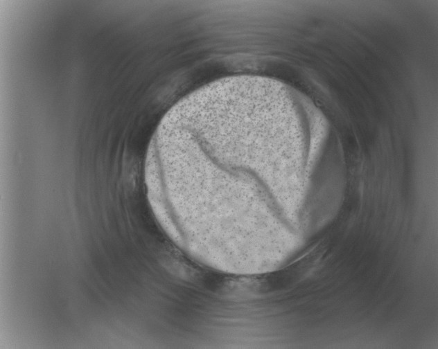 X0000080180125200612302255