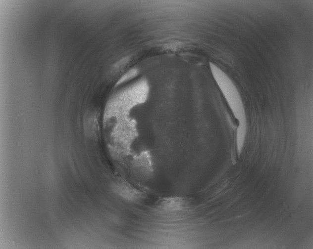 X0000080180127200612302255