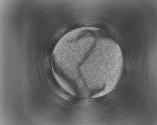 X0000080180128200612302255