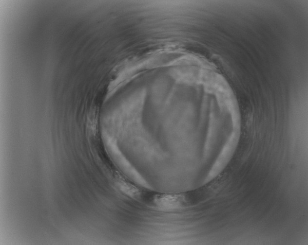 X0000080180129200612302255