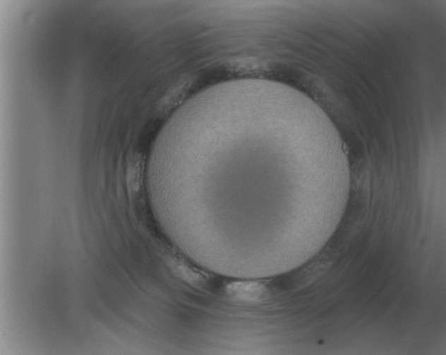 X0000080180133200612302255