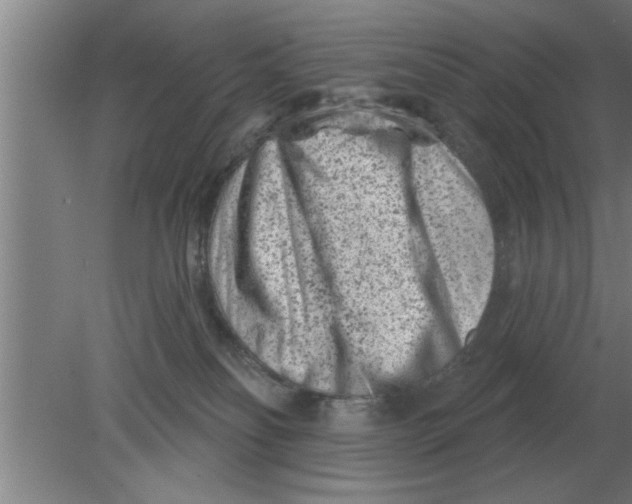 X0000080180134200612302255