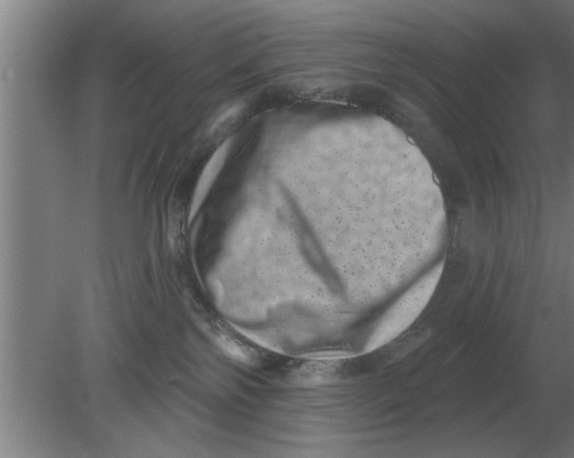 X0000080180138200612302255