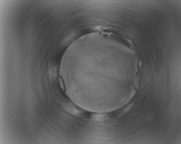 X0000080180139200612302255