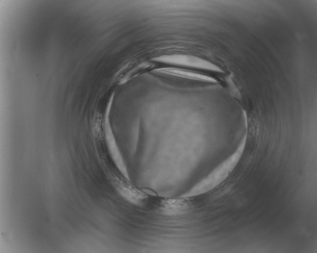 X0000080180141200612302255