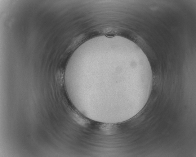 X0000080180142200612302255