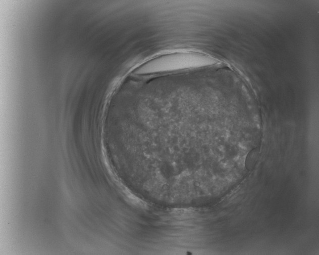 X0000080180145200612302254